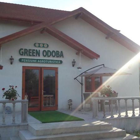 Pensiunea Agroturistica Green Odoba Satuc Exterior photo