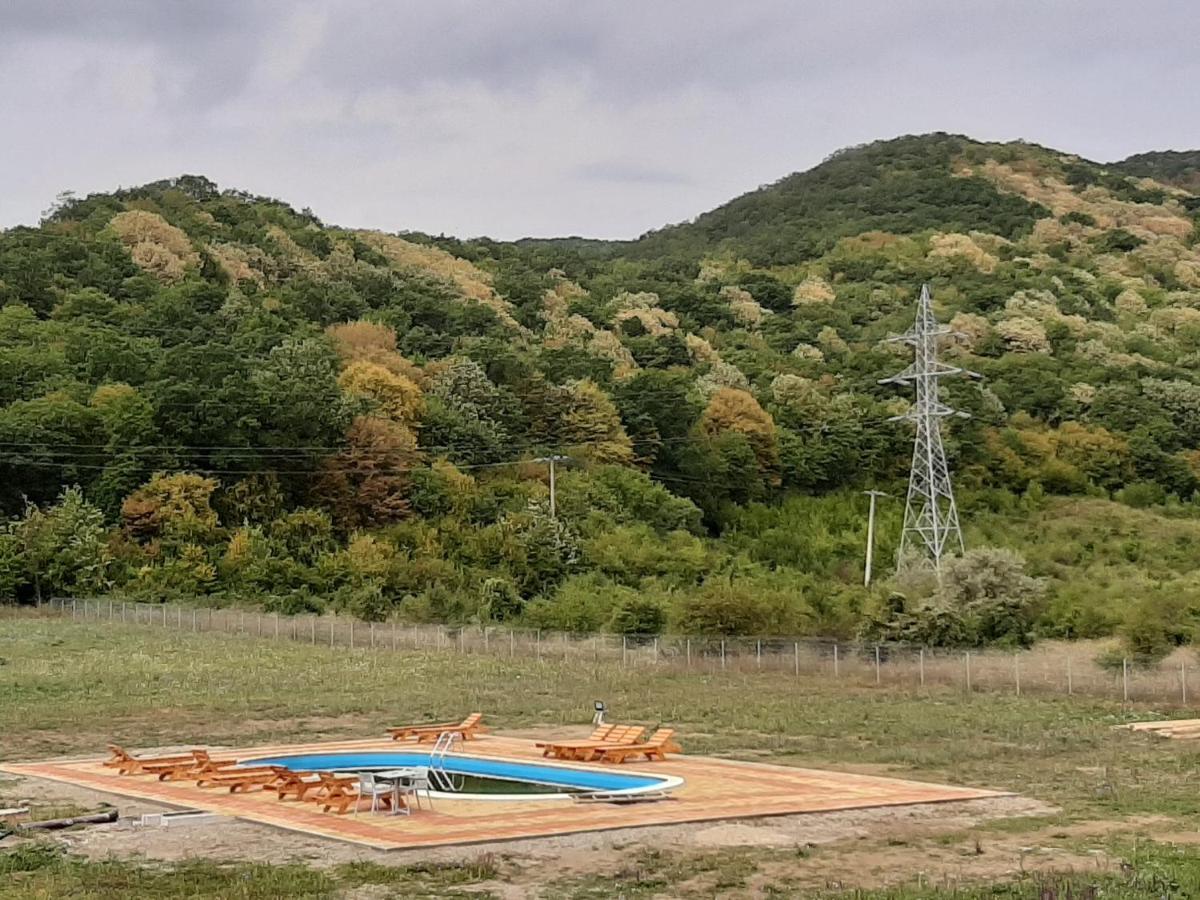 Pensiunea Agroturistica Green Odoba Satuc Exterior photo