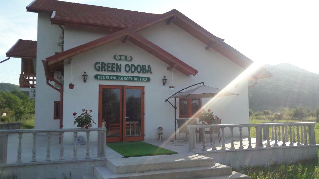 Pensiunea Agroturistica Green Odoba Satuc Exterior photo