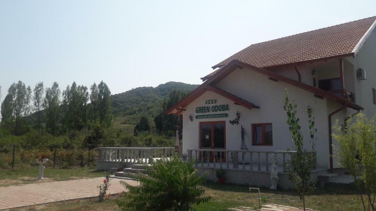Pensiunea Agroturistica Green Odoba Satuc Exterior photo
