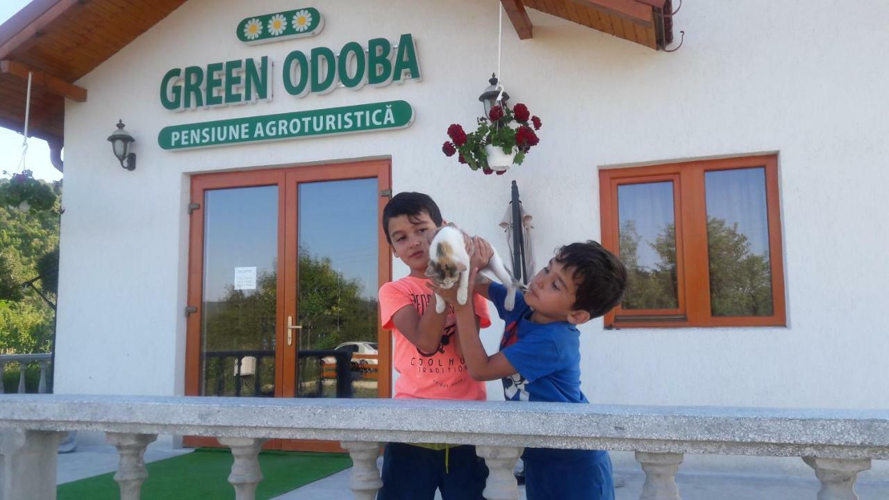 Pensiunea Agroturistica Green Odoba Satuc Exterior photo